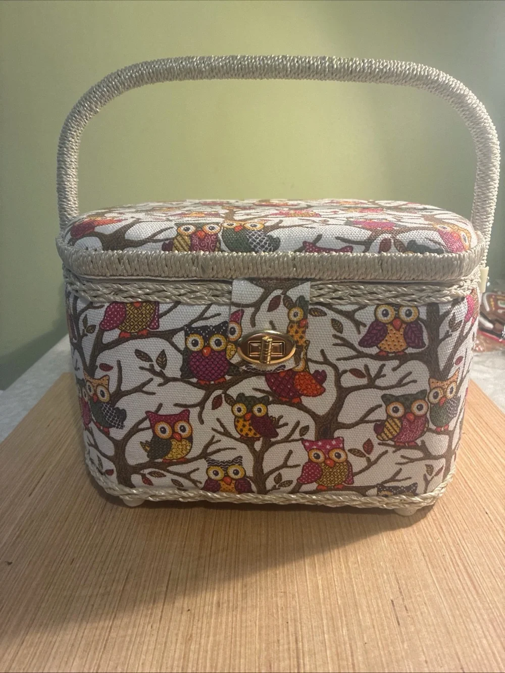 Owl Print Seeing  Box in Cream and Multicolor